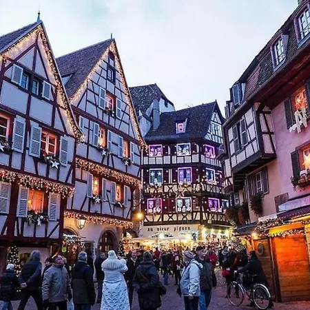 Le Bambou Jama * Aspach-le-Haut